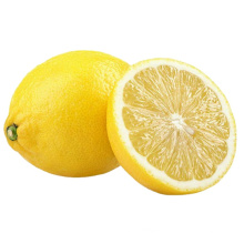 Manufacture Chinese Wholesale Fresh Citrus Fruit High Nutrition Yellow Lemon